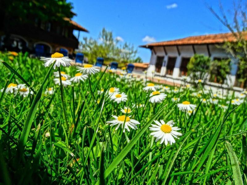 Hotel Izvora - Garden Retreat Arbanasi Bagian luar foto