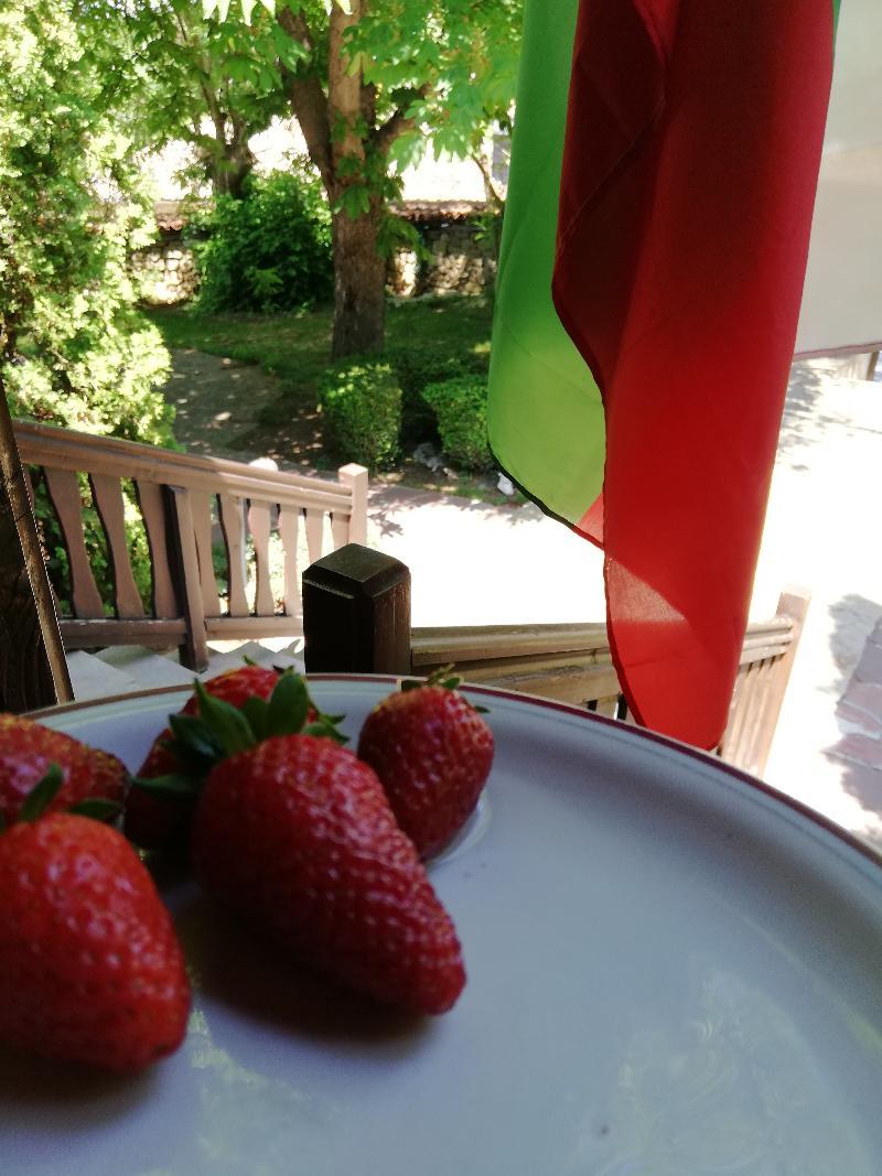 Hotel Izvora - Garden Retreat Arbanasi Bagian luar foto